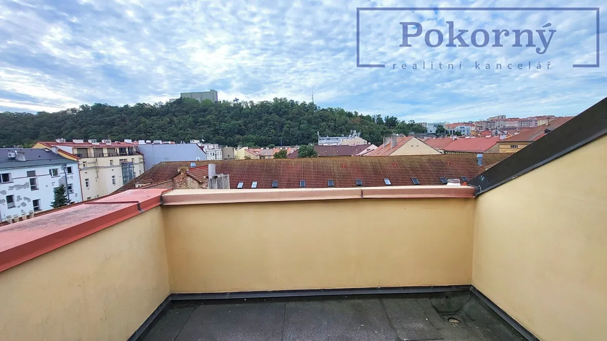 Fotka 6 z 11